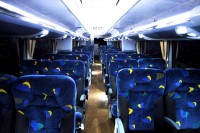 /album/mascarello-e-marcopolo/mascarello-henriqueminibus-3-jpg/